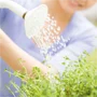 Insecticides - Pilot India